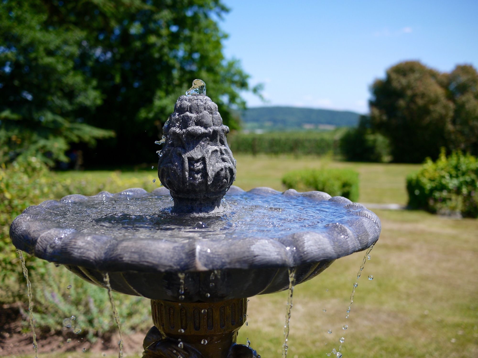 Glewstone Court Country House Hotel Ross-on-Wye エクステリア 写真